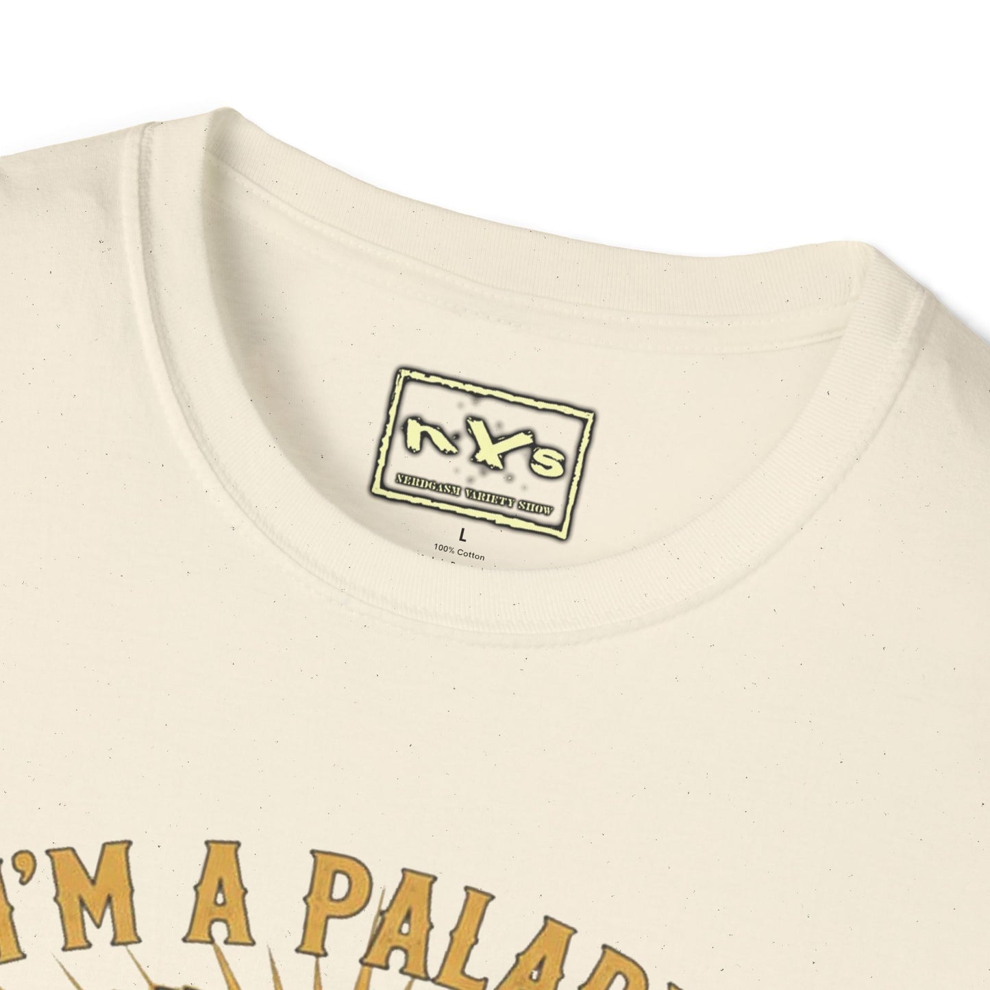 I'm A Paladin  NVS Graphic T-Shirt — Fantasy Character Tee