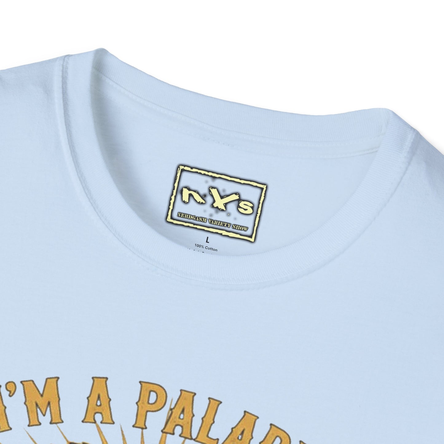 I'm A Paladin  NVS Graphic T-Shirt — Fantasy Character Tee