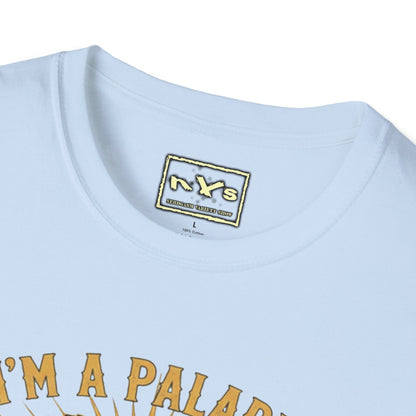 I'm A Paladin  NVS Graphic T-Shirt — Fantasy Character Tee
