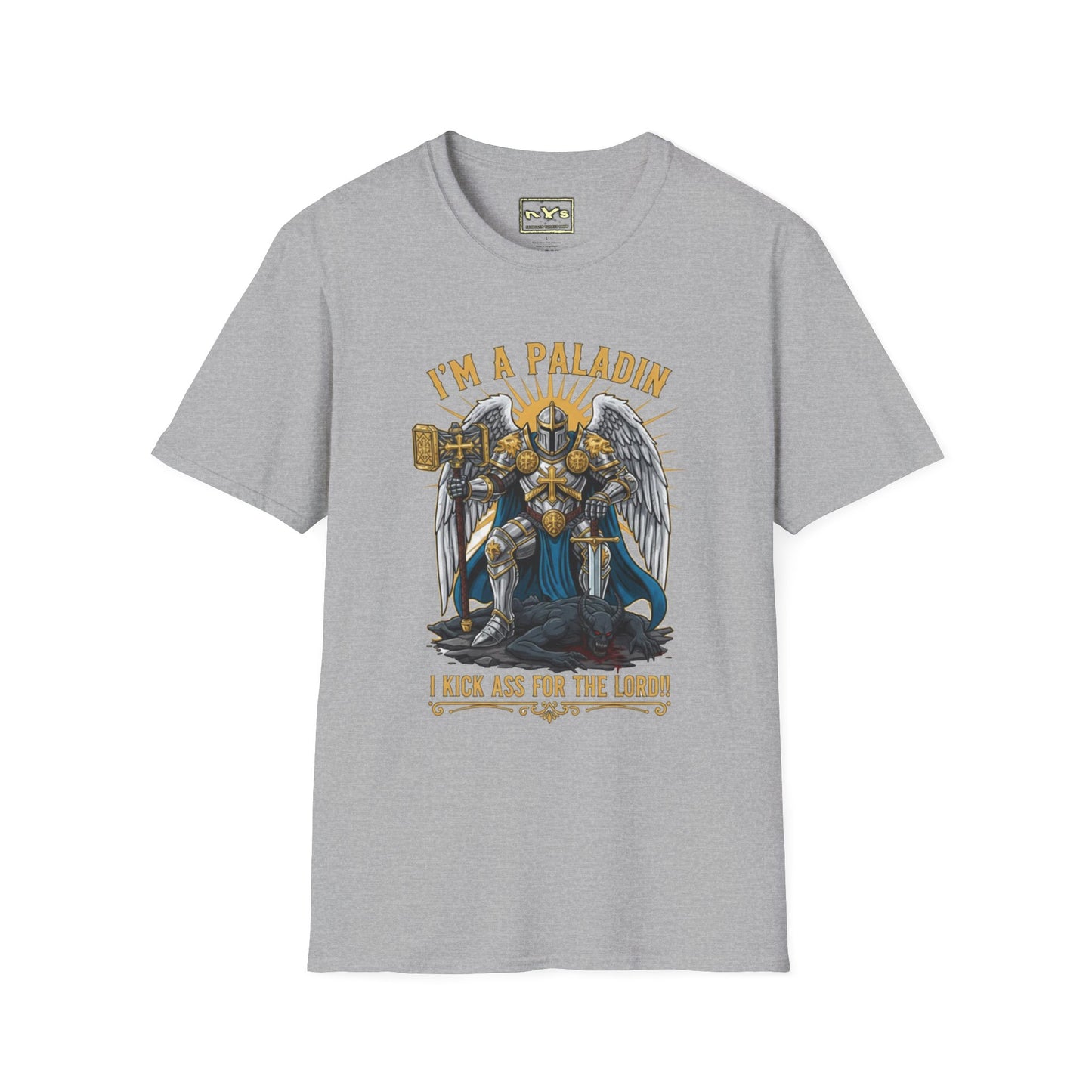 I'm A Paladin  NVS Graphic T-Shirt — Fantasy Character Tee