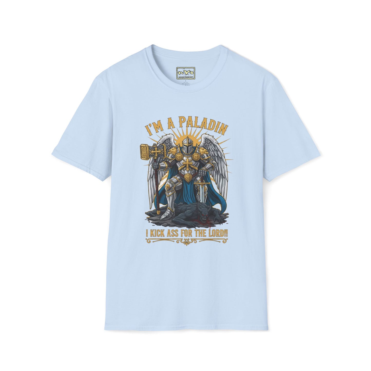 I'm A Paladin  NVS Graphic T-Shirt — Fantasy Character Tee