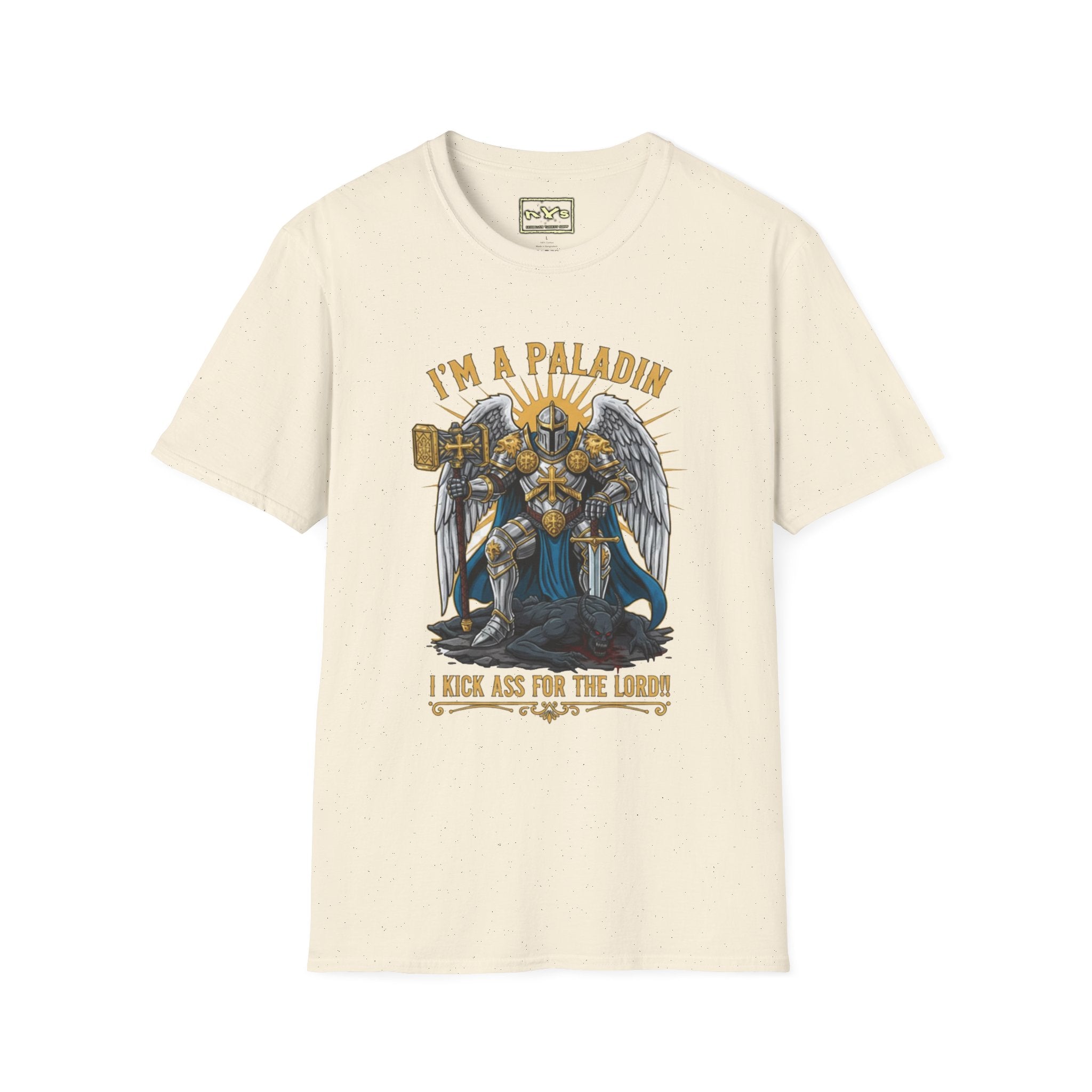 I'm A Paladin  NVS Graphic T-Shirt — Fantasy Character Tee
